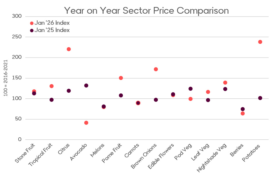 A graph comparing indexed prices across wholesale fruit and vegetable sectors at a national level. The indexed prices cover 2016 through until present. The majority of fruit and vegetable sectors are sitting slightly higher year with the exception of avocados, berries and pod veg. 