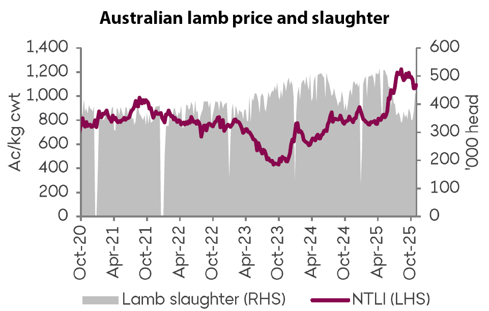A graph showing the National Trade Lamb Indicator and lamb slaughter between October 2020 and now. Lamb moved lower from recent highs in October 2025, while processing rates remain comparatively lower.   